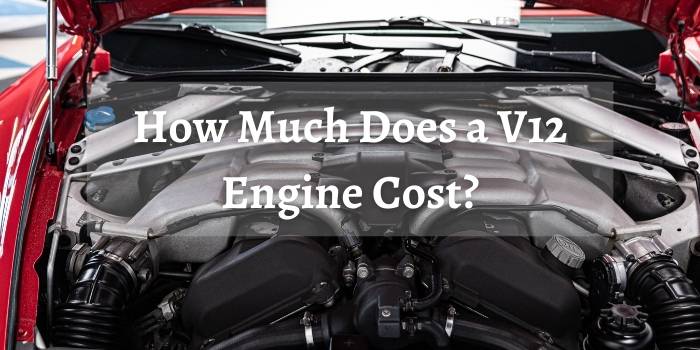 How Much Does a V12 Engine Cost